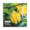 Phy Active Eau De Toilette (100ml)
