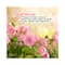 Plum Bodylovin Feelin So Rose De-Odorizing Pit Cream (50g)