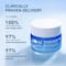 Plum 2% Niacinamide & Rice Water Brightening Face Moisturizer Gel Cream (2 x 50 g) Pack of 2 Combo