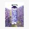 Police Exotic Femme Eau de Toilette (100ml)