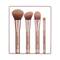 Profusion Cosmetics Magnetix Core Collection Brush Set - (4 Pcs)