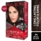Revlon Colorsilk Hair Color - 2N Brown Black (91.8ml)