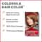 Revlon ColorSilk Hair Color with Keratin - 3N Dark Brown - with Outrageous Shampoo 90 ml (150ml)