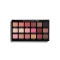 Revolution Pro Regeneration Eye Palette - Revelation (14.4g)