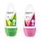 Rexona Roll On Pack of 2 Combo