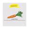 Roots & Herbs Carrot Seed Carrier Oil (30ml)