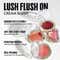 FOCALLURE Lush Flush On Cream Blush - PK03 My Obsession (4 g)