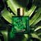 Roberto Cavalli Uomo Verde Assoluto Eau De Parfum for Men (100 ml)