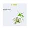 Saniola Hand Sanitizer Aloe & Basil (38ml)