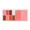 Sivanna Colors Infatuated Pro Palette Makeup Studio - 02 Shade (20g)