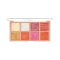 Sivanna Colors Wild Glowing Pro Cheek & Highlight Palette - 02 Shade (20g)