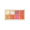 Sivanna Colors Wild Glowing Pro Cheek & Highlight Palette - 02 Shade (20g)