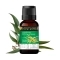 Soulflower Eucalyptus Essential Oil - (15ml)