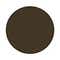 Metallic Bronze