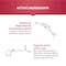Swisse Ultiboost Heart Health – For Healthy Heart and Cardio Vascular Health, Supports Healthy Cholesterol Level (30Tablets)
