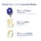 Sacred Grove Blue Pea & Kokum Butter Conditioner (300 ml)