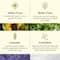 The Earth Collective Combo Pack for Anti-Ageing