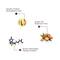 The Skin Story New Moringa & Biotin Keratin Shampoo (450ml)