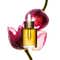 Clarins Lotus Face Treatment Oil (30 ml)