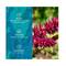 Ustraa Beard Growth Supplement - (60ml)