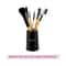 Vega Set of 7 Brushes , (EVS-07)