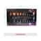 Vega Pro EZ Set of 10 Professional Make up Brushes, (MBS-10)