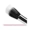 Vega Buffer Brush for Blending of Face Powder Blending Makeup Brush Small (PB-17) (18 g)