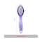Vega Pumice Stone/Brush with handle, (PD-01N)