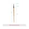 Vega Eyeliner Brush for Gel Eyeliner Eyeliner Makeup Brush (EV-08) (8 g)