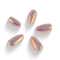Renee Stick On Nails - Holographic Nail 01 (Pack of 30)