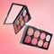 Makeup Revolution Ultra Blush Palette - Sugar and Spice (12.8g)