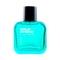 Wild Stone Edge Spray Perfume, Deodorant 1, Face Wash & Shower Gel Combo