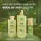 Plum BodyLovin' Matcha, But Disco Body Mist (100 ml)