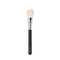 Daily Life Forever52 Academic Blusher Brush -FX012