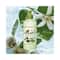 Yves Rocher Relaxing Body Lotion Almond Orange Blossom (200ml)