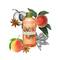 Yves Rocher Energizing Bath & Shower Gel With Peach & Star Anise 400 ml