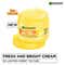 Garnier Fresh & Bright Vitamin C Sorbet Moisturizer (90 ml)