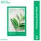 Innisfree Green Tea Energy Sheet Mask – Moisturizing & Soothing Care (22 ml)