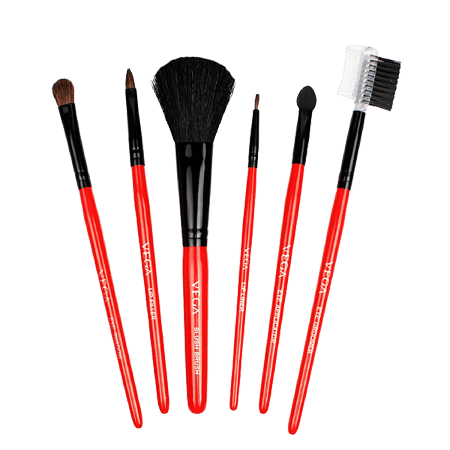 Vega | Set of 6 Brushes, (MBS-06)