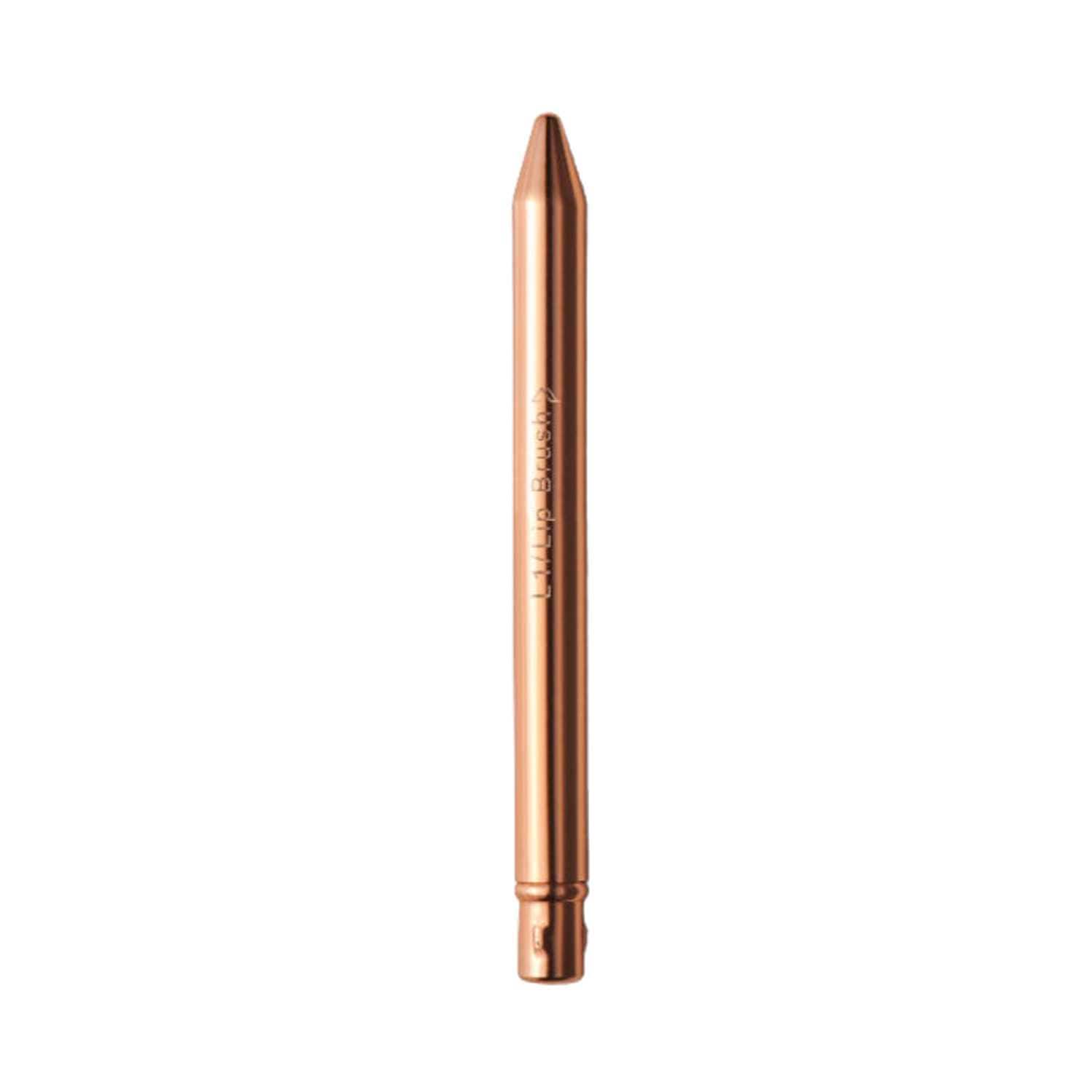 Pigment Play | Pigment Play Lip Brush