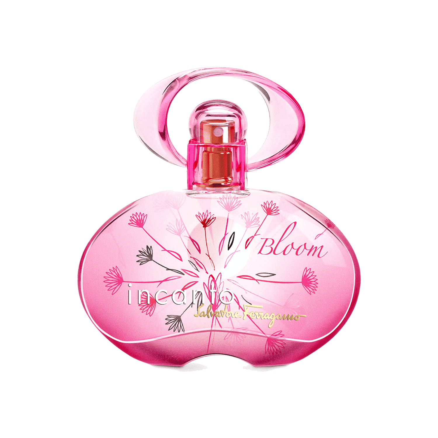 Salvatore Ferragamo | Salvatore Ferragamo Incanto Bloom Eau de Toilette (30ml)