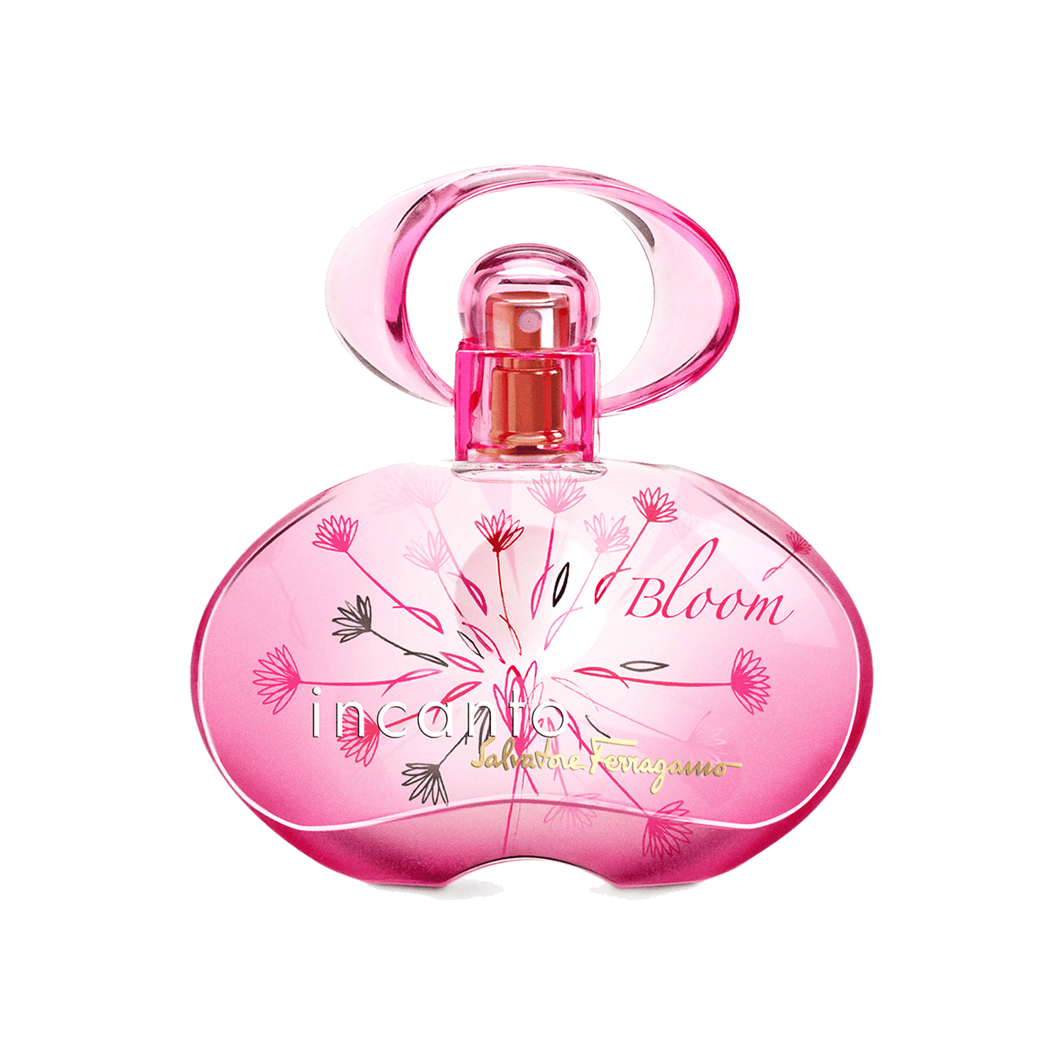 Salvatore Ferragamo | Salvatore Ferragamo Incanto Bloom Ib Eau de Toilette (100ml)