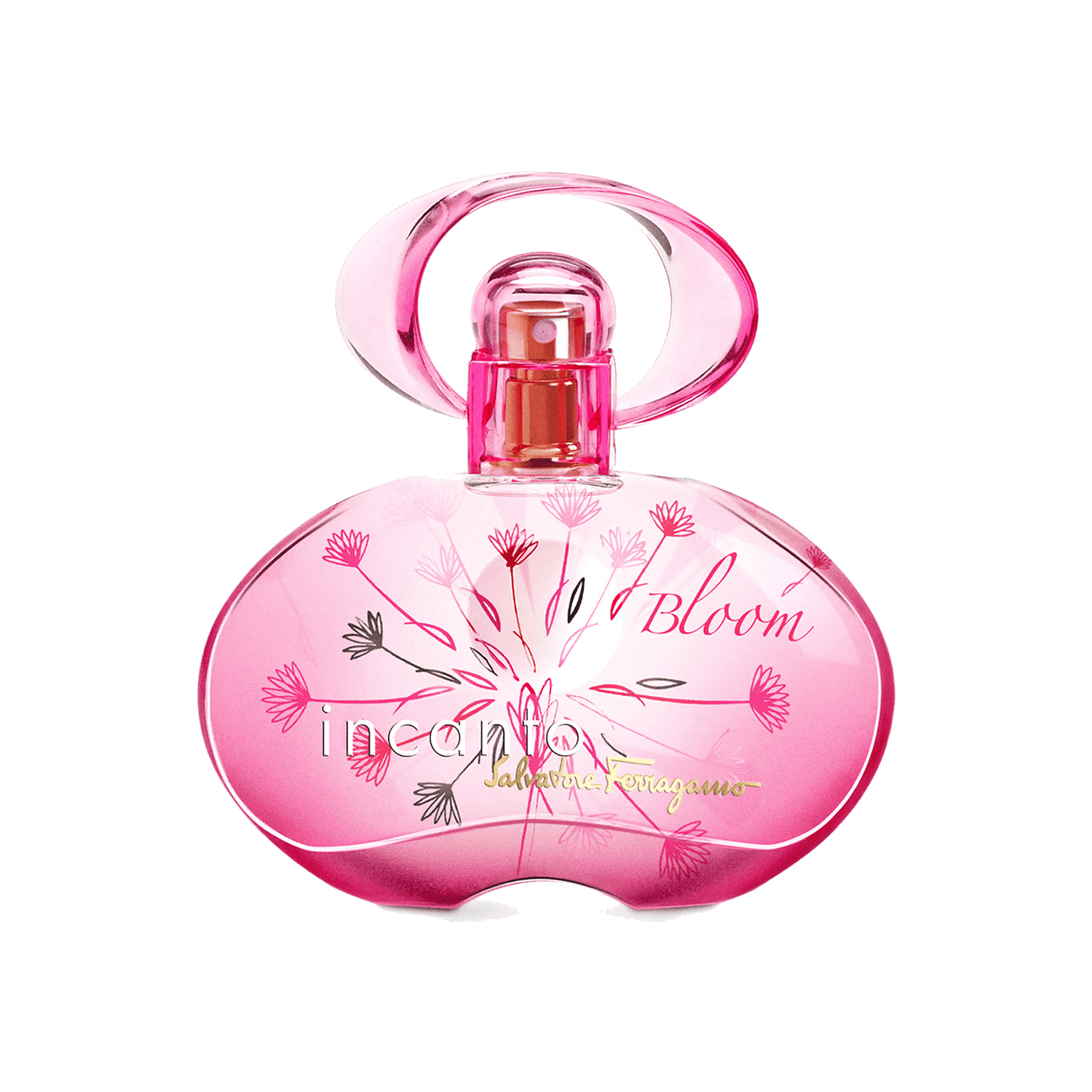 Salvatore Ferragamo | Salvatore Ferragamo Incanto Bloom Ib Eau de Toilette (30ml)