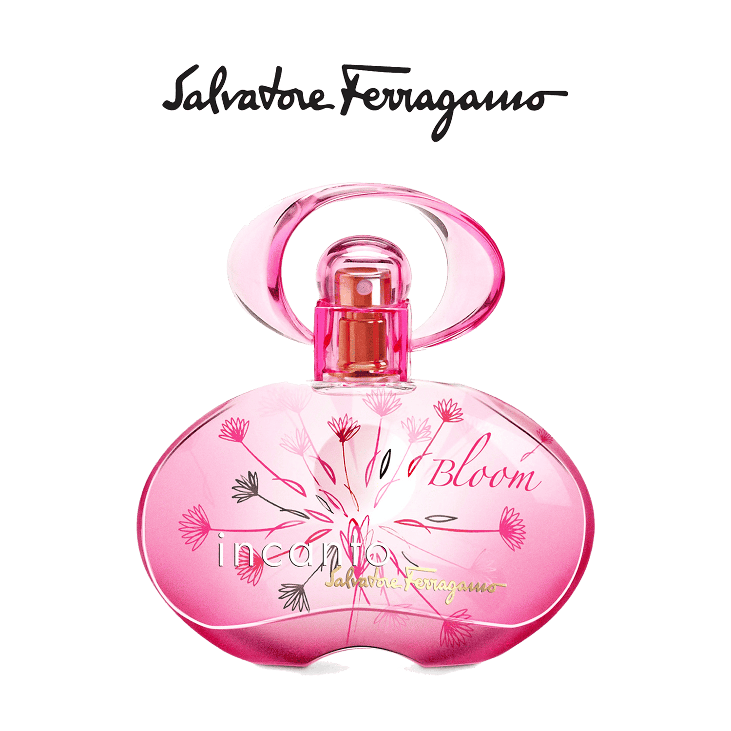 Salvatore Ferragamo | Salvatore Ferragamo Incanto Bloom Ib Eau de Toilette (50ml)