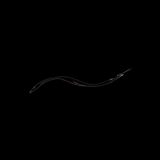Chambor Eye Definer - Black 01 3.5 ml