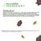 Atulya Shikakai Organic Powder (100g)