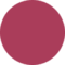 Beauty People Color Pop Lipstick pop Magneto 511 (4gm)