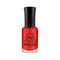 Jaquline USA One Stroke Premium Nail Enamel - J14 Enamel Spot (8ml)