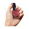 LYN Fast Dry Non Toxic Nail Polish - Blush Affair (8ml)