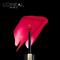 L'Oreal Paris Rouge Signature Matte Liquid Lipstick,137 Red